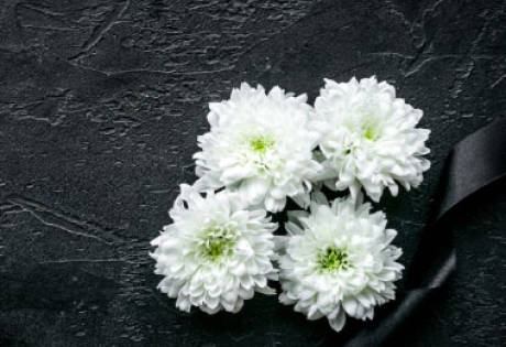 Создание сайта для ритуальной компании «Харон»